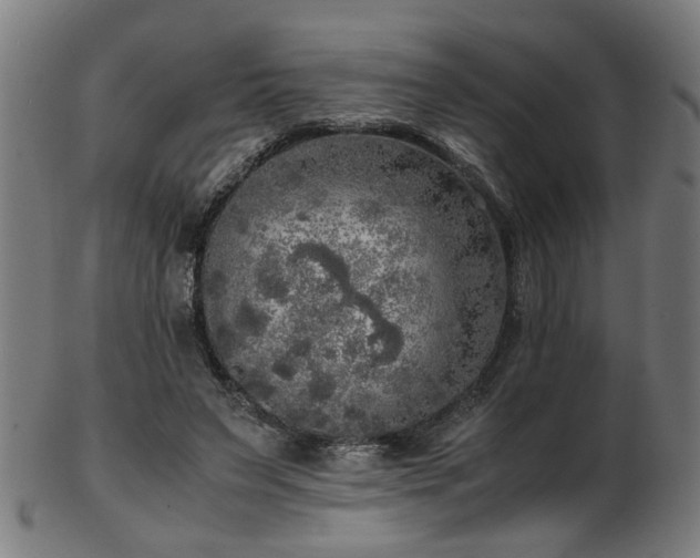 X0000103430495200809121333