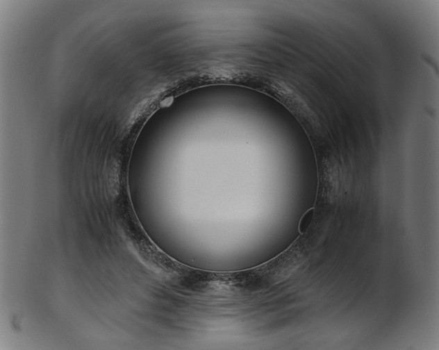 X0000103430496200809121333