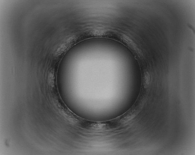 X0000103430497200809121333