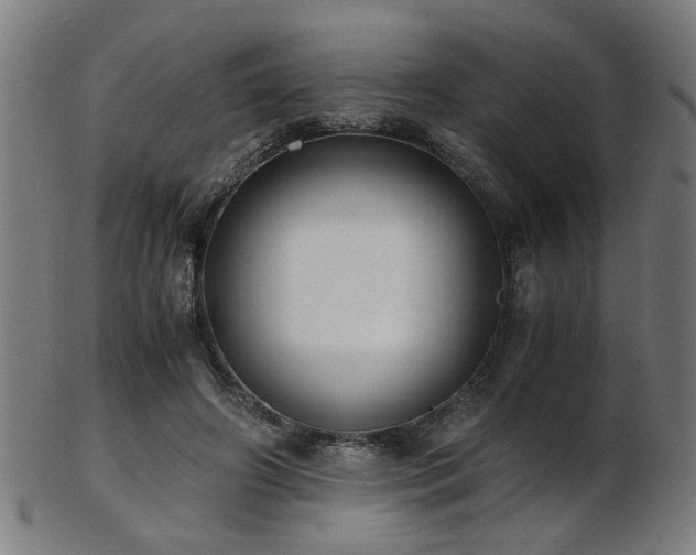 X0000103430498200809121333