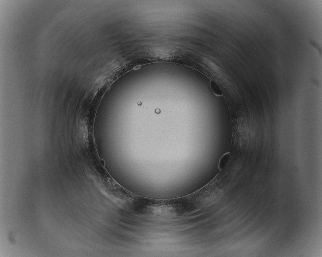X0000103430500200809121333