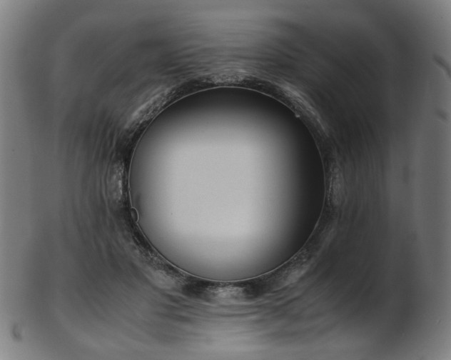 X0000103430501200809121333