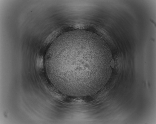 X0000103430502200809121333