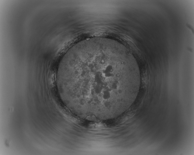 X0000103430503200809121333