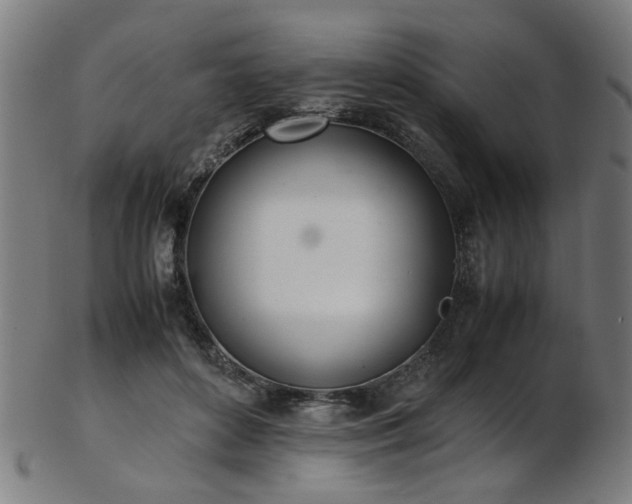 X0000103430504200809121333