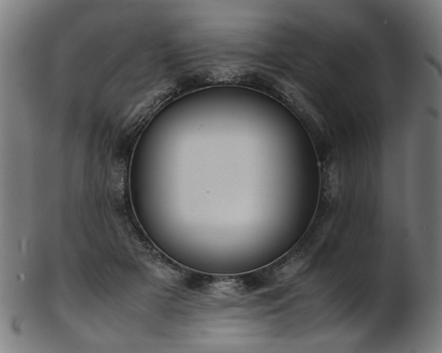 X0000103430505200809121333