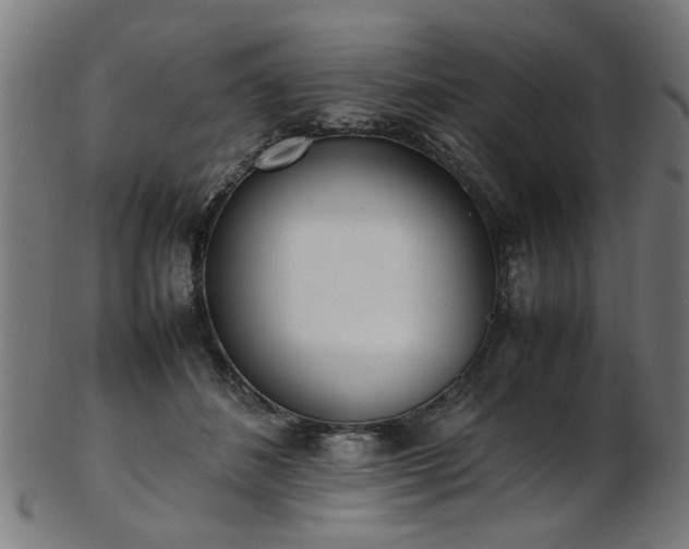 X0000103430508200809121332