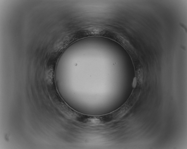 X0000103430509200809121332