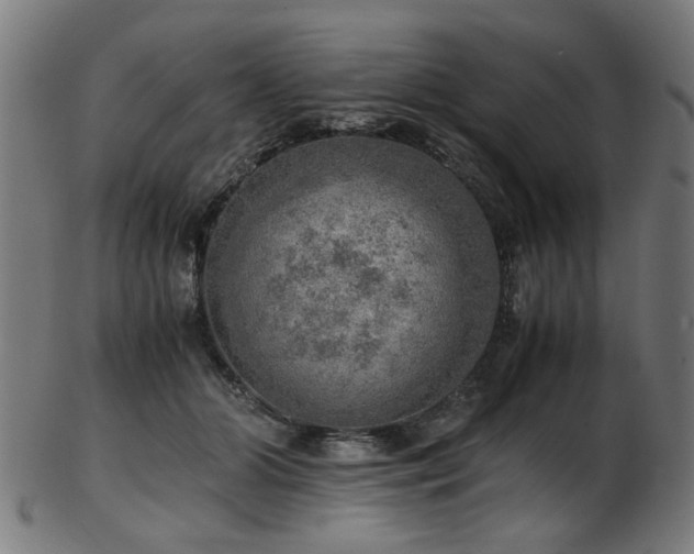 X0000103430510200809121332