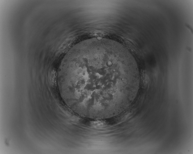 X0000103430511200809121332