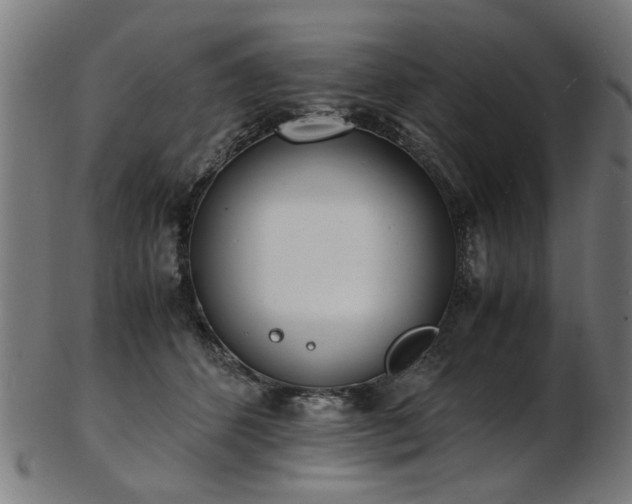 X0000103430512200809121332