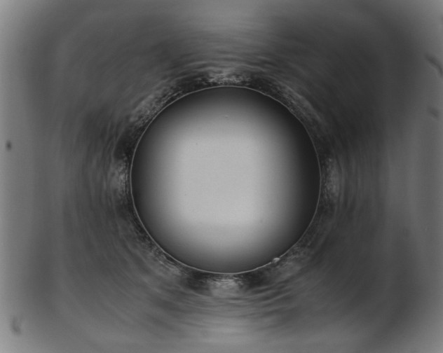 X0000103430513200809121332