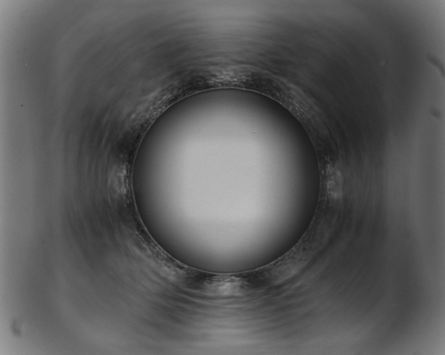 X0000103430514200809121332