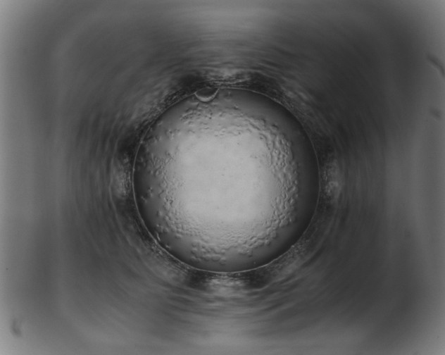 X0000103430515200809121332