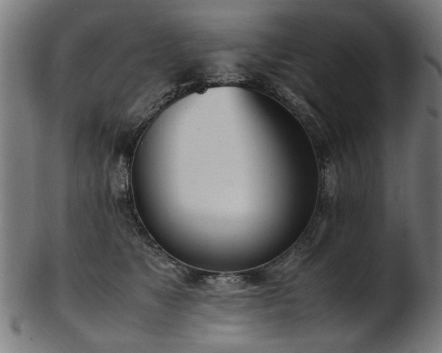 X0000103430517200809121332