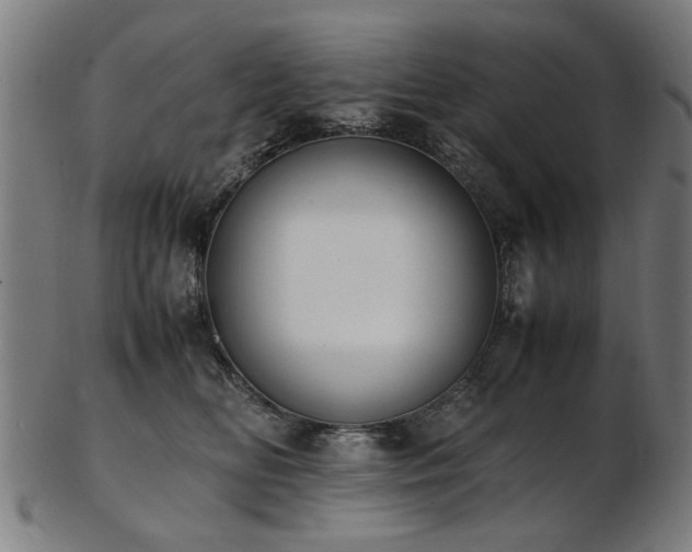 X0000103430518200809121332