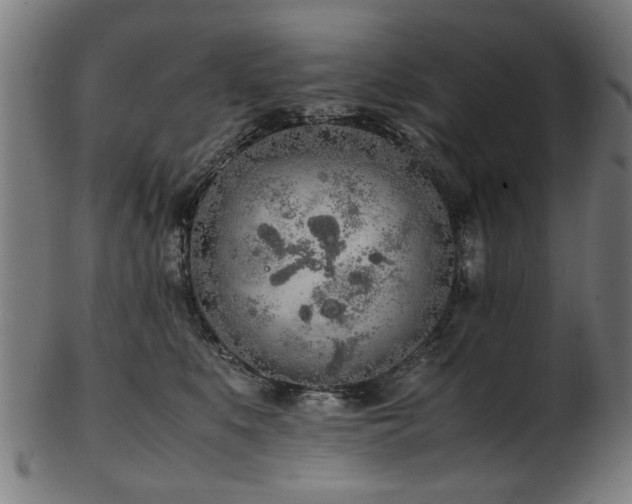 X0000103430519200809121332