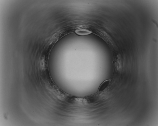 X0000103430520200809121332