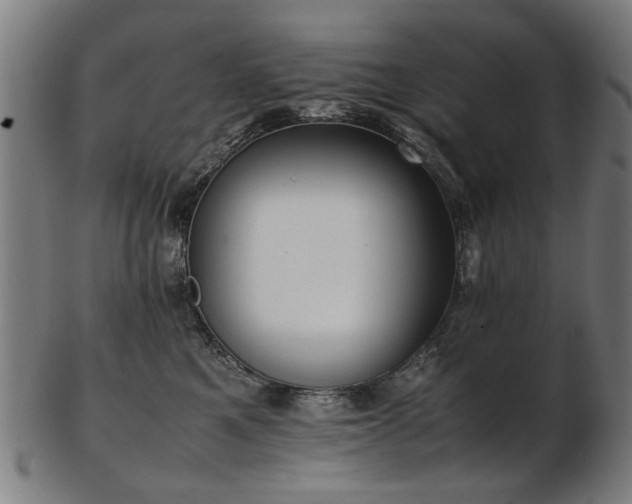X0000103430521200809121332