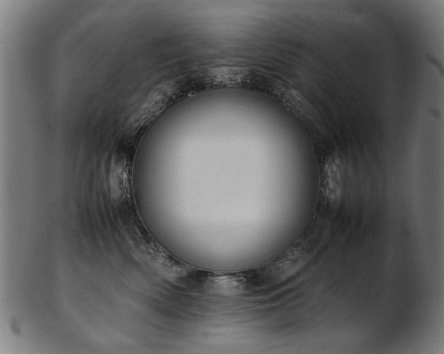 X0000103430522200809121332