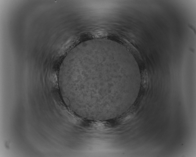 X0000103430523200809121332