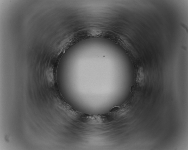 X0000103430524200809121332
