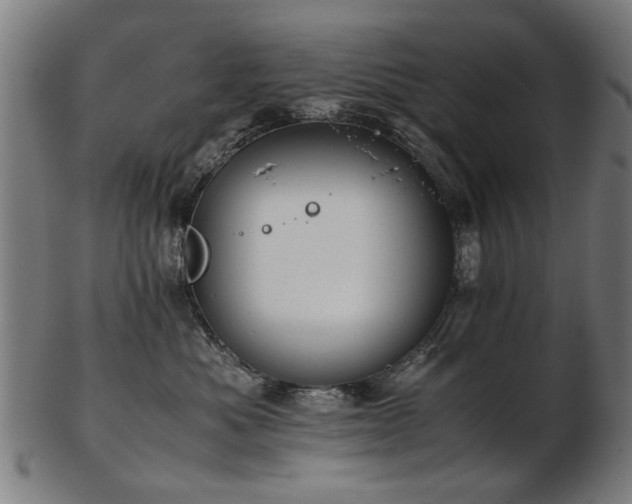 X0000103430525200809121332