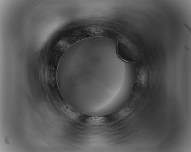 X0000103430526200809121332
