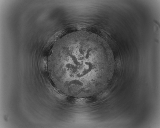 X0000103430527200809121332