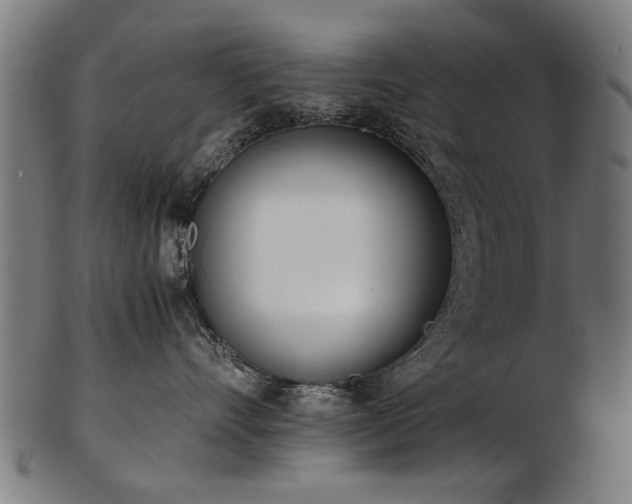 X0000103430528200809121332