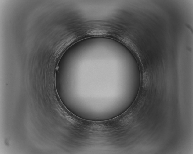 X0000103430529200809121332
