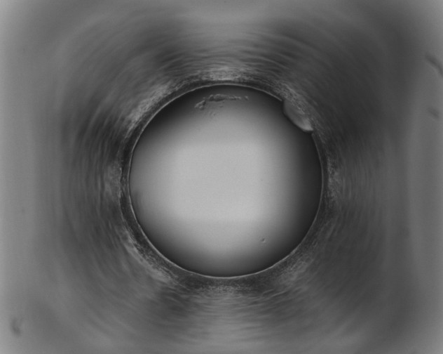 X0000103430530200809121332