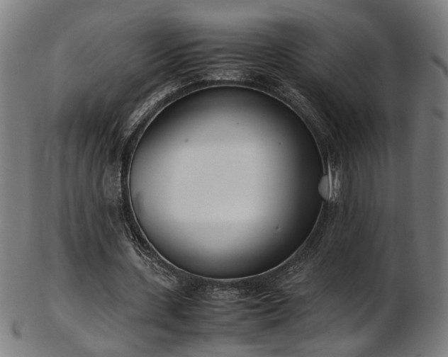 X0000103430531200809121332