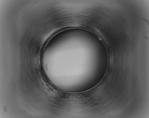 X0000103430532200809121332