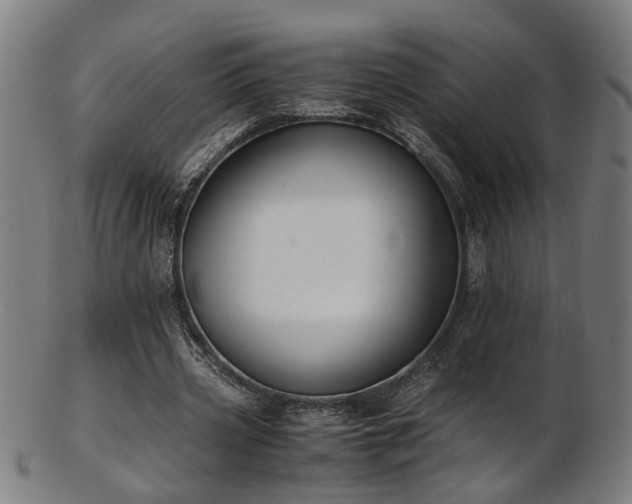 X0000103430533200809121332