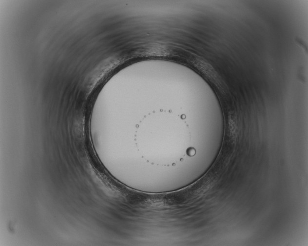 X0000103430534200809121332