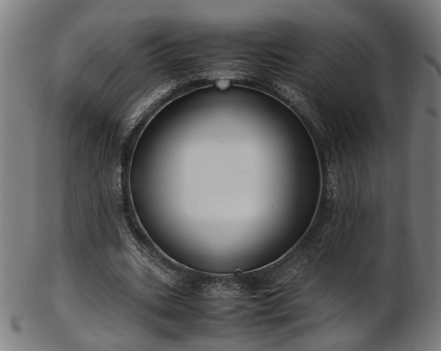 X0000103430535200809121332
