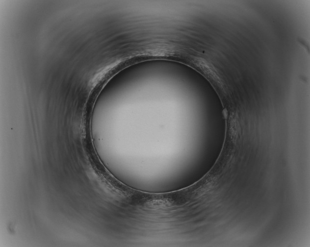 X0000103430536200809121332