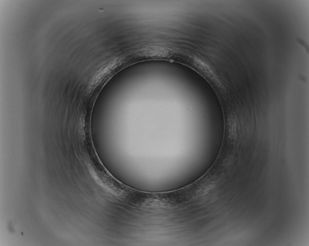 X0000103430538200809121332