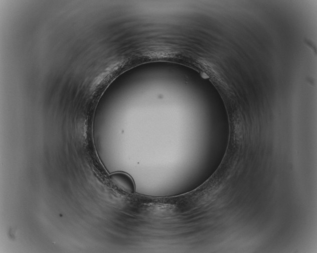 X0000103430539200809121332