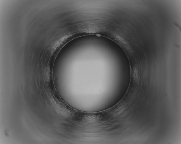 X0000103430540200809121332