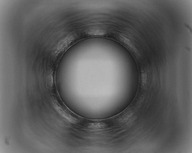 X0000103430541200809121332