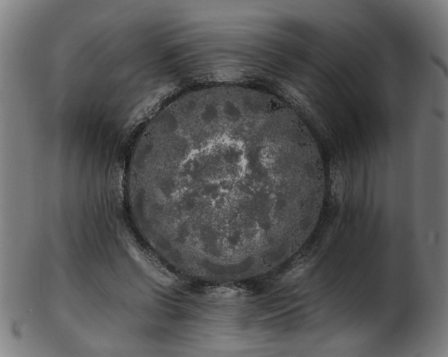 X0000103430542200809121332