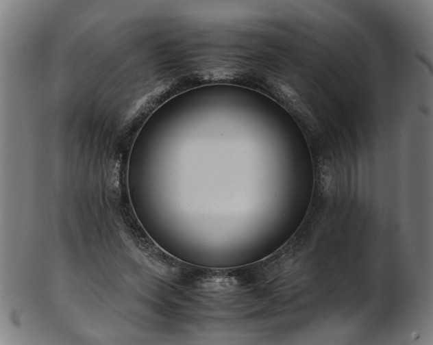 X0000103430543200809121332