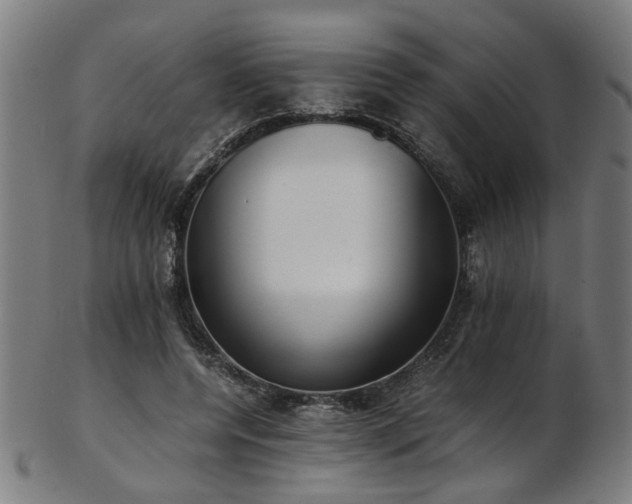 X0000103430544200809121332