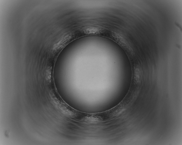 X0000103430545200809121332