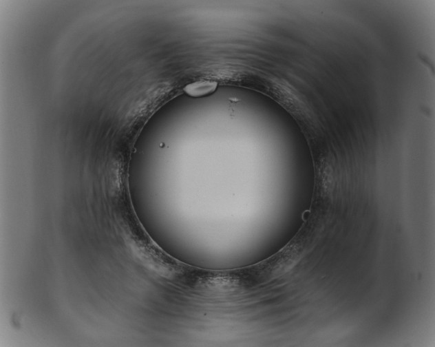 X0000103430546200809121332