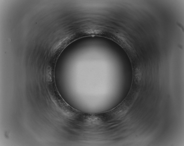 X0000103430547200809121332