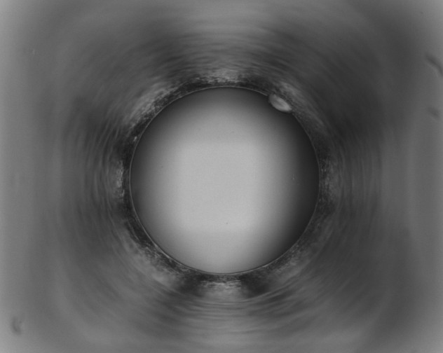 X0000103430548200809121332