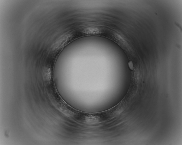 X0000103430549200809121332